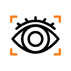 Mission Icon